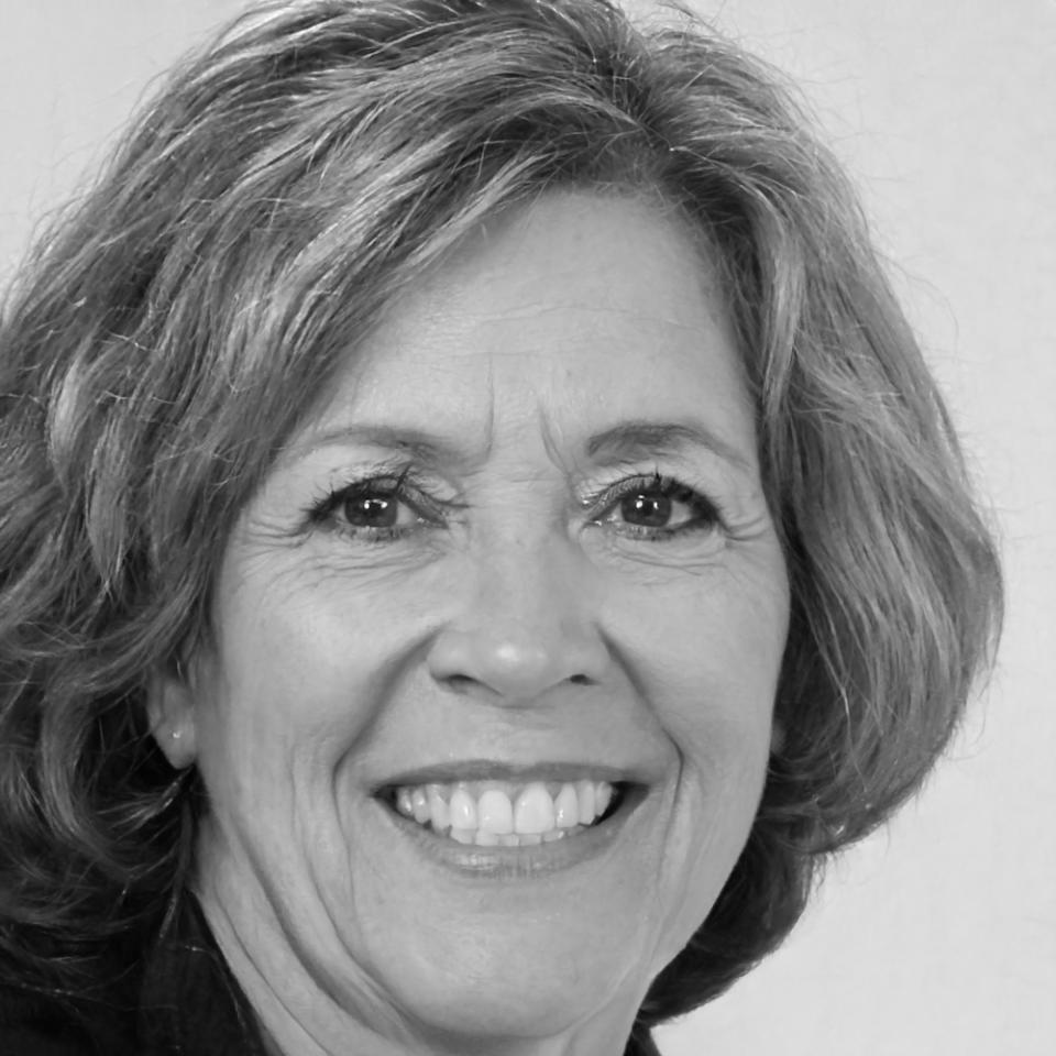 Портрет ведущего финансового аналитика Veronix